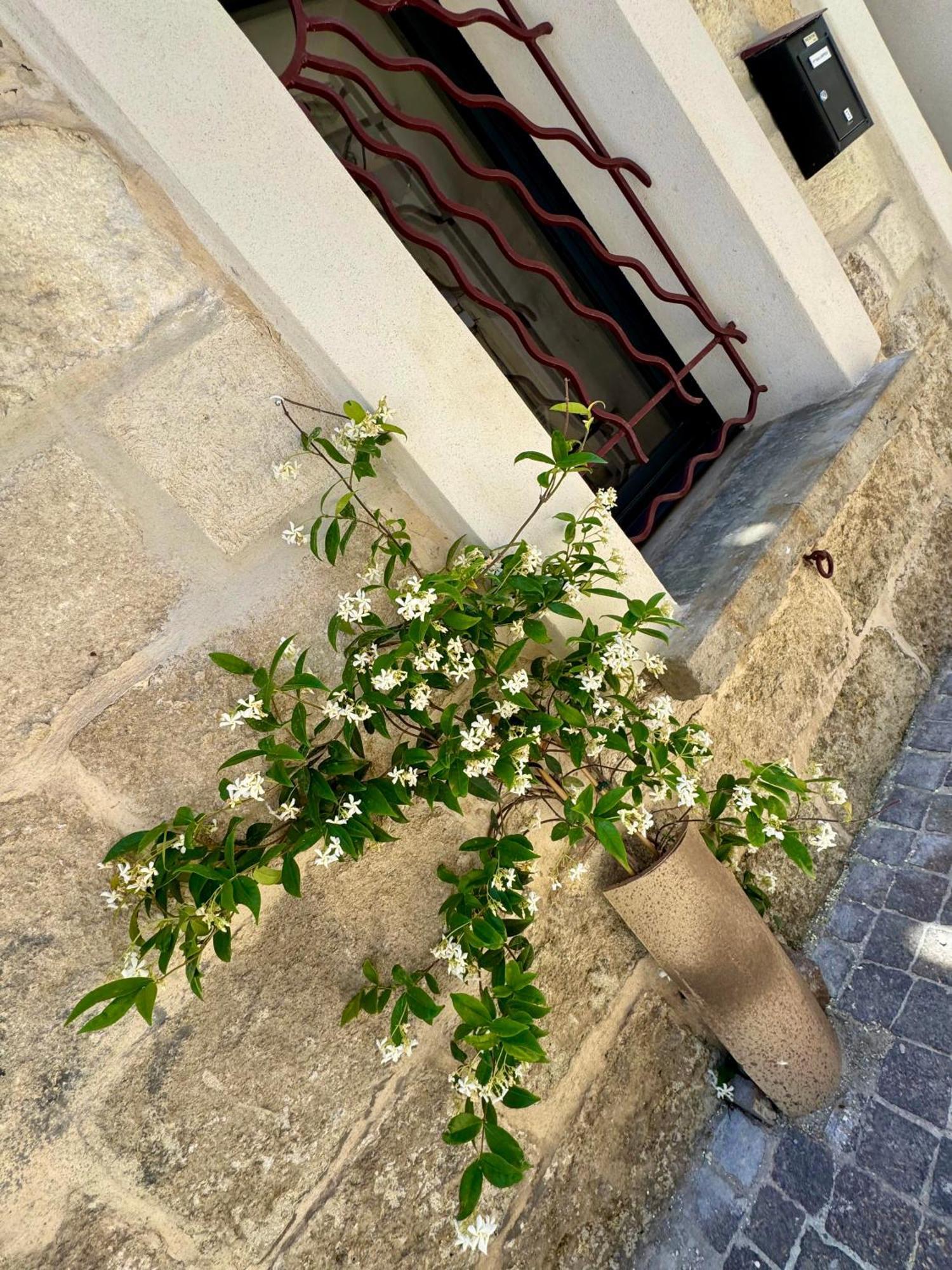 Maison De Village Renovee ! Льо Гро-дю-Роа Екстериор снимка